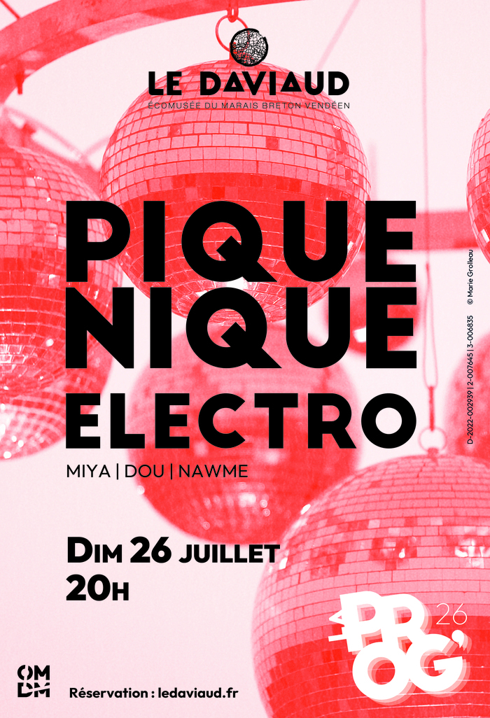 Pique-nique électro, Le Daviaud, La Barre-de-Monts