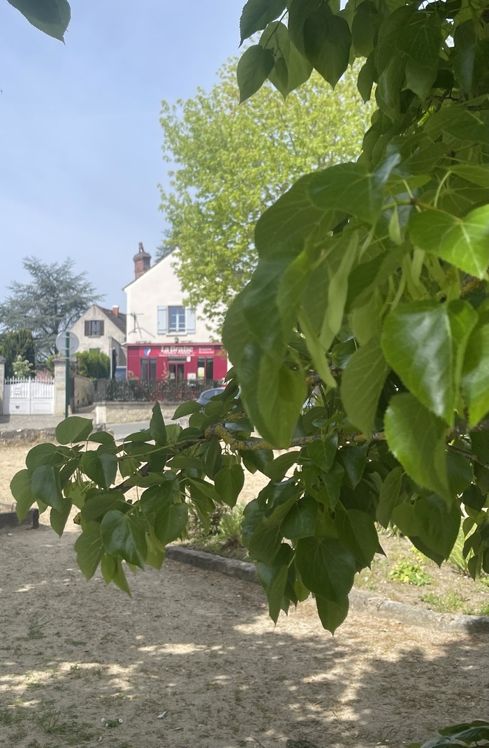 Place aux jardins : Navette en voiture ancienne Place aux jardins Arronville