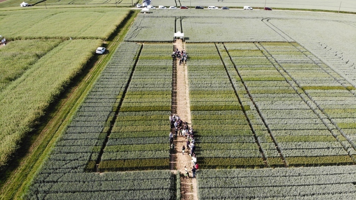 Plateforme d'expérimentation en grandes cultures - Ouest Île-de-France Richebourg Richebourg