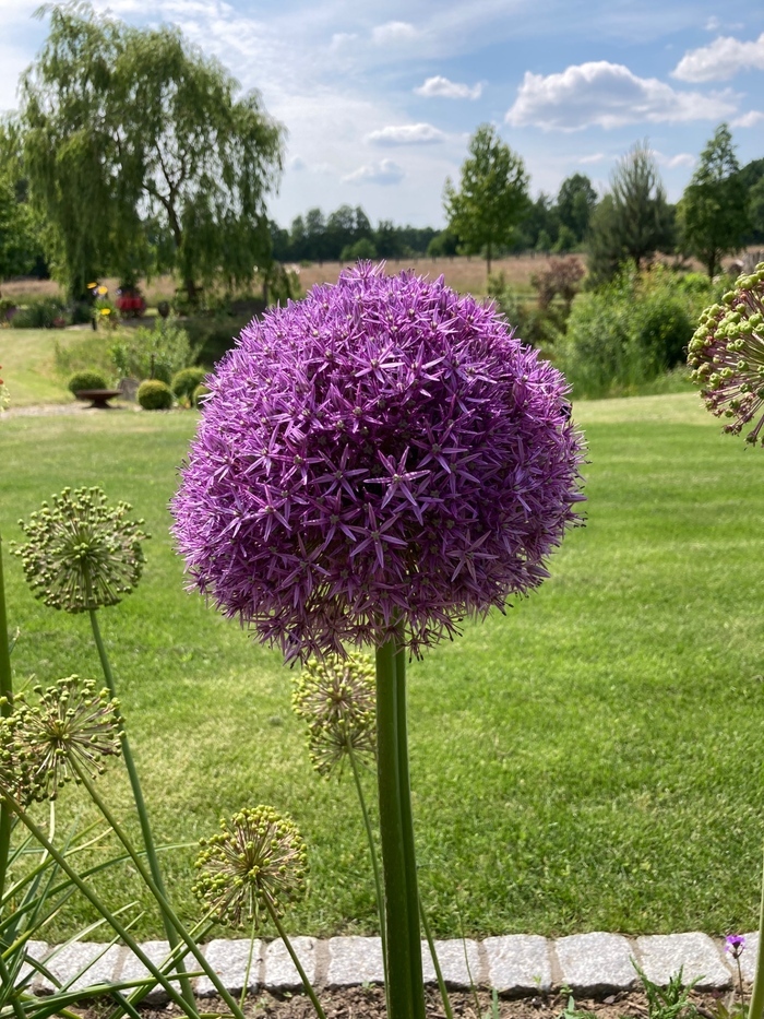 Porte ouverte dans le jardin de Depke, Garten Depke,