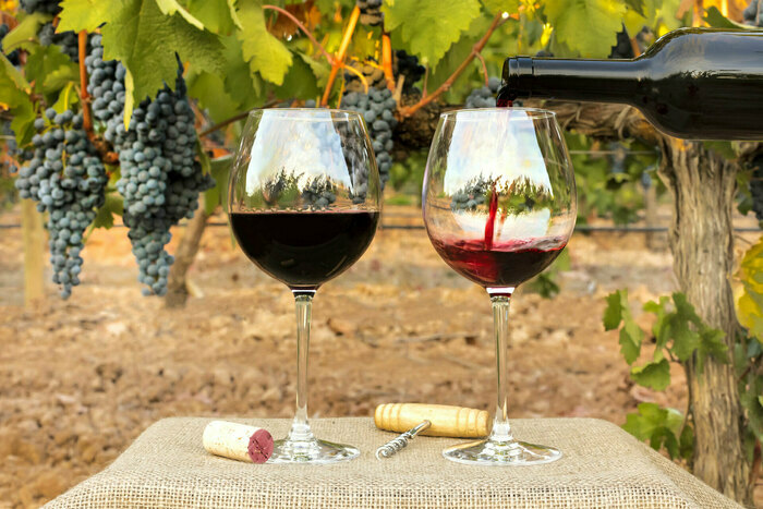 Portes ouvertes au Mas Lander, Domaine Mas Lander, Bagard