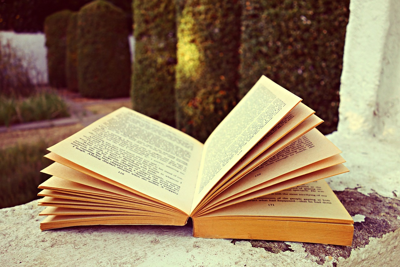 Premières Pages Plouf tour, lectures au bord de l’eau à Payrignac Payrignac
