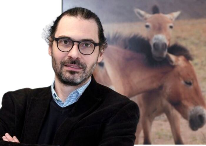 Projection de conférence : Domestication du cheval