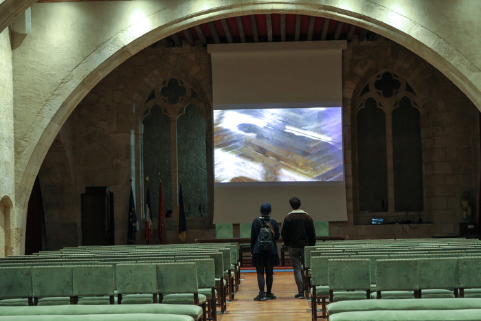 Projection de la vidéo-danse Aemulatio
picti, réalisée dans le cadre du projet de Rési’Danse au musée, Palais-musée des Archevêques de Narbonne, Narbonne