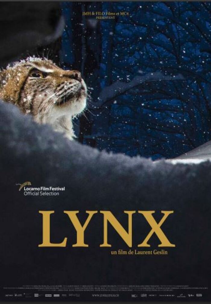 Projection du film « Lynx » en présence de son réalisateur Laurent Geslin. Cinélac Le Bourget-du-Lac
