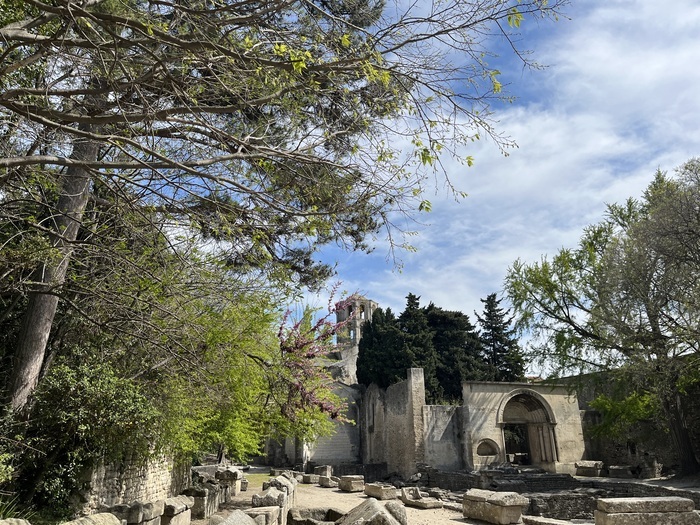 « Promenade arborée dans le site historique des Alyscamps », alyscamps, Arles
