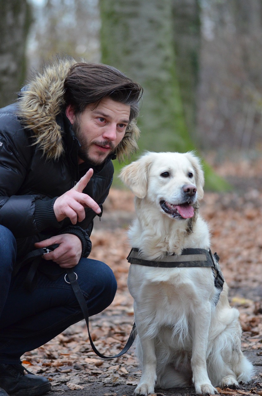 Promener son chien Les clés pour comprendre les codes du quotidien. 15 route de Port Commes 2026-08-30