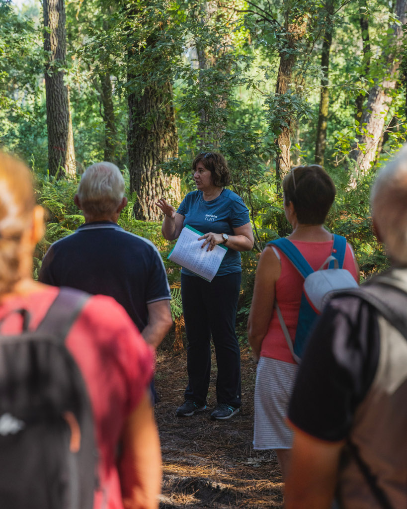 Randonnée commentée Histoires de bois et de forêt Rue du stade Linxe 2026-08-19
