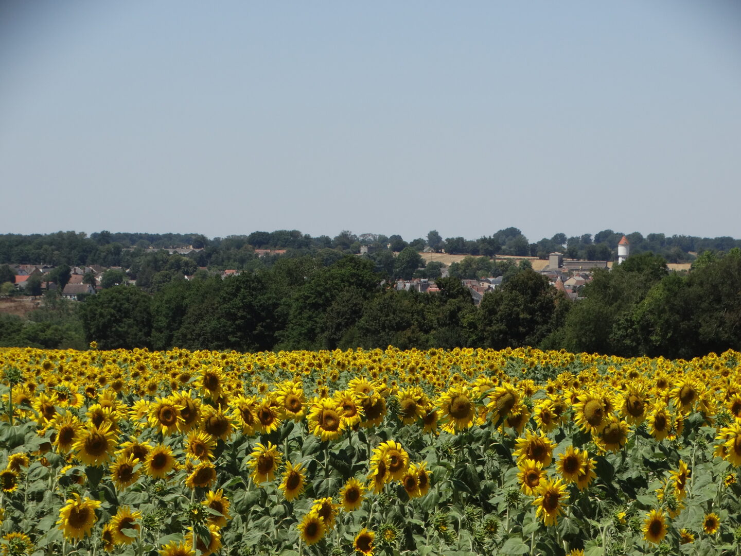 Randonnée gourmande à Culan Culan