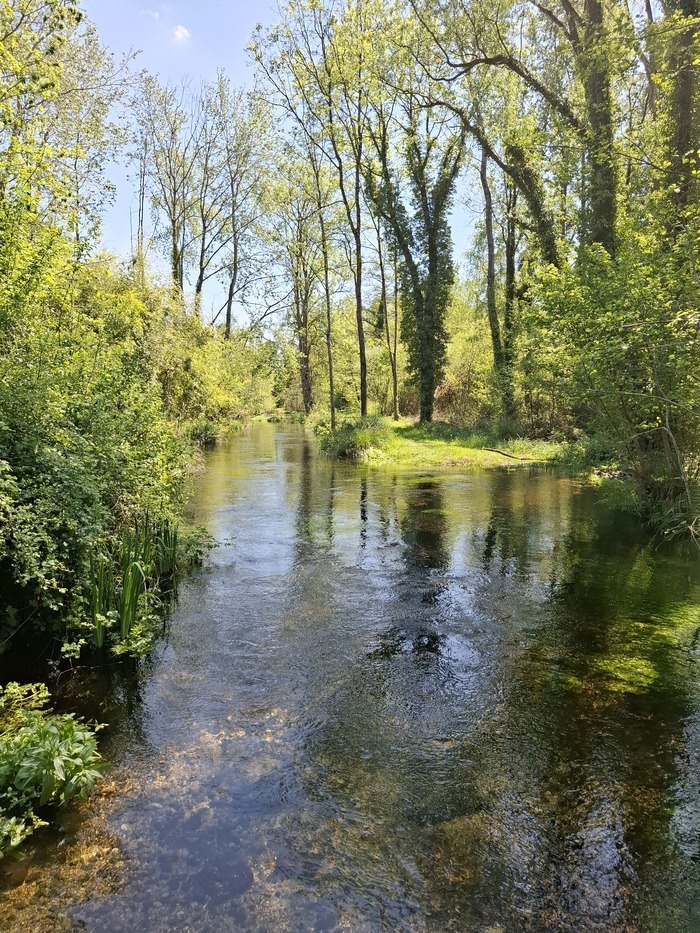 Randonnée pédestre au fil des moulins et des champs de lavandin, Place de l’Eglise – La Ferté Villeneuil, Cloyes-les-Trois-Rivières