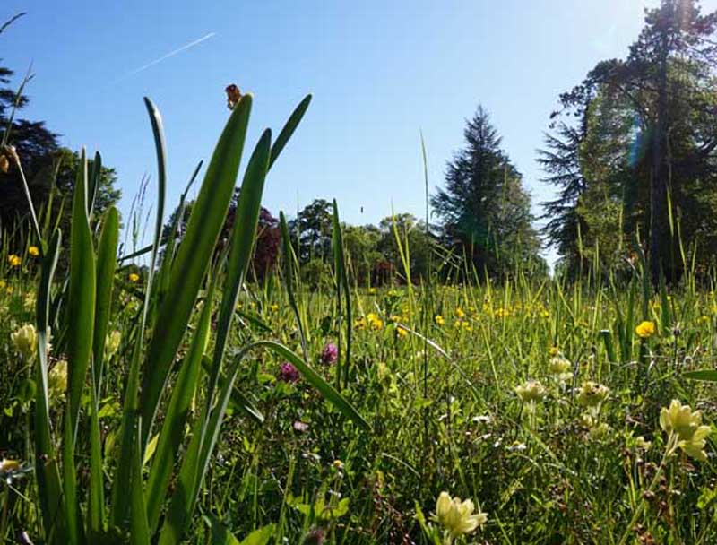 Randonnée pédestre Montchevrier