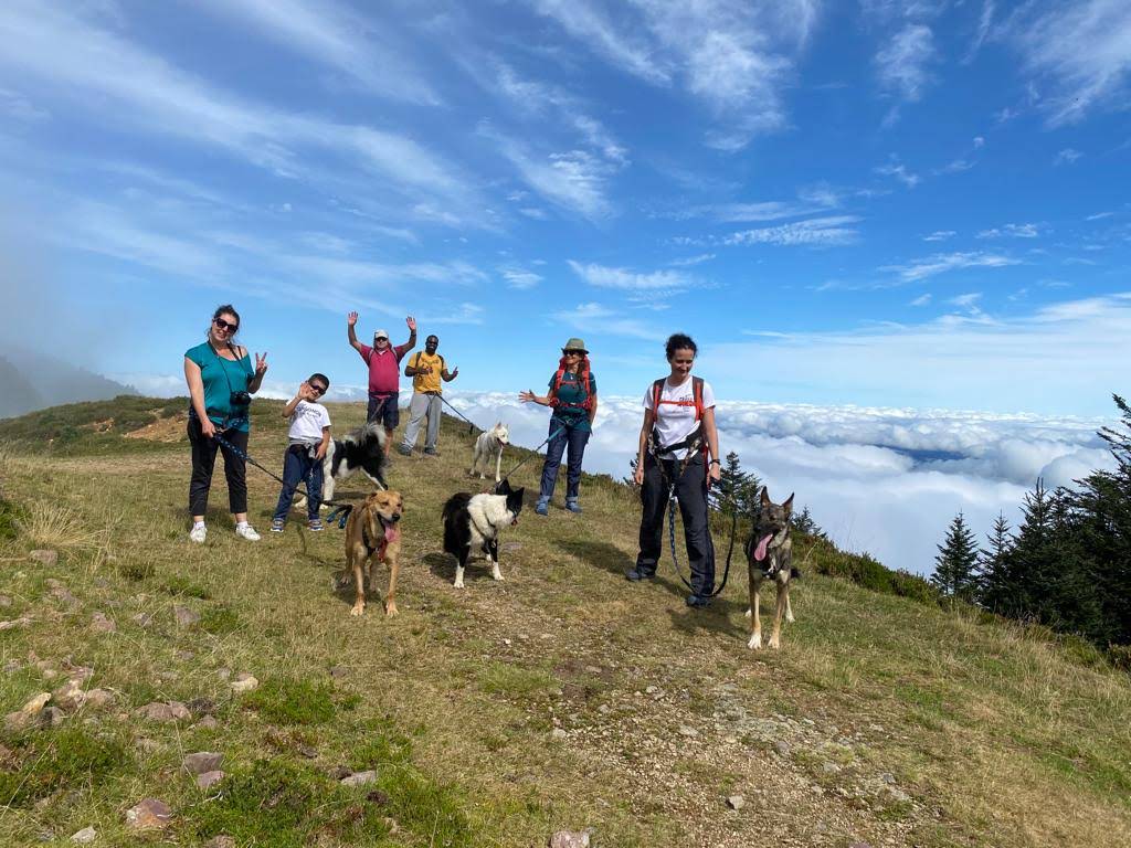 Randonner avec un chien nordique à La Pierre Saint-Martin Espace nordique Arette 2026-07-14