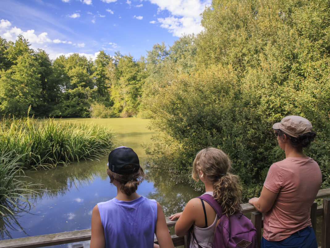 RDV nature 64, promenade en paysages d&rsquo;eaux  Serres-Castet
