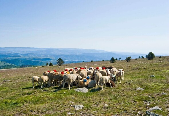 RENCONTRES PASTORALES Col de Solperières Vebron 2026-06-20