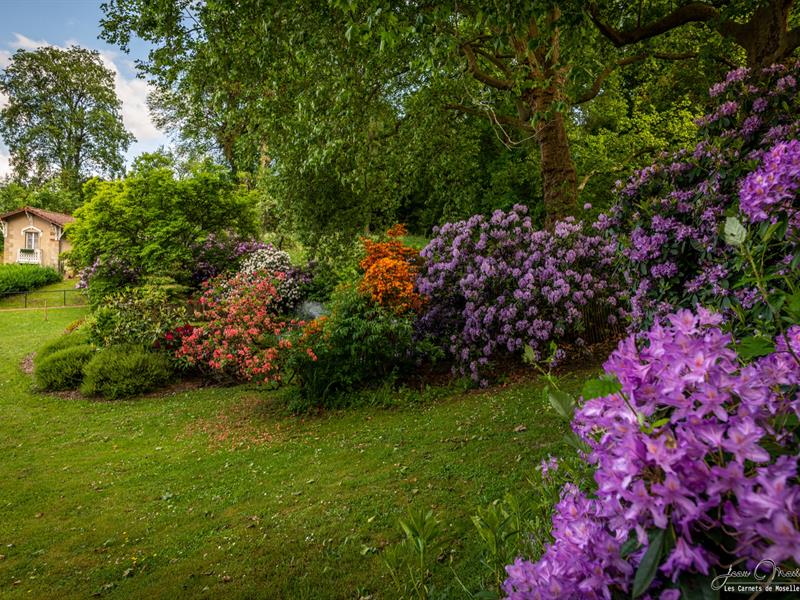Rendez-vous au jardin du Château d’Hausen Parc du château d’Hausen, derrière la mairie Hombourg-Haut