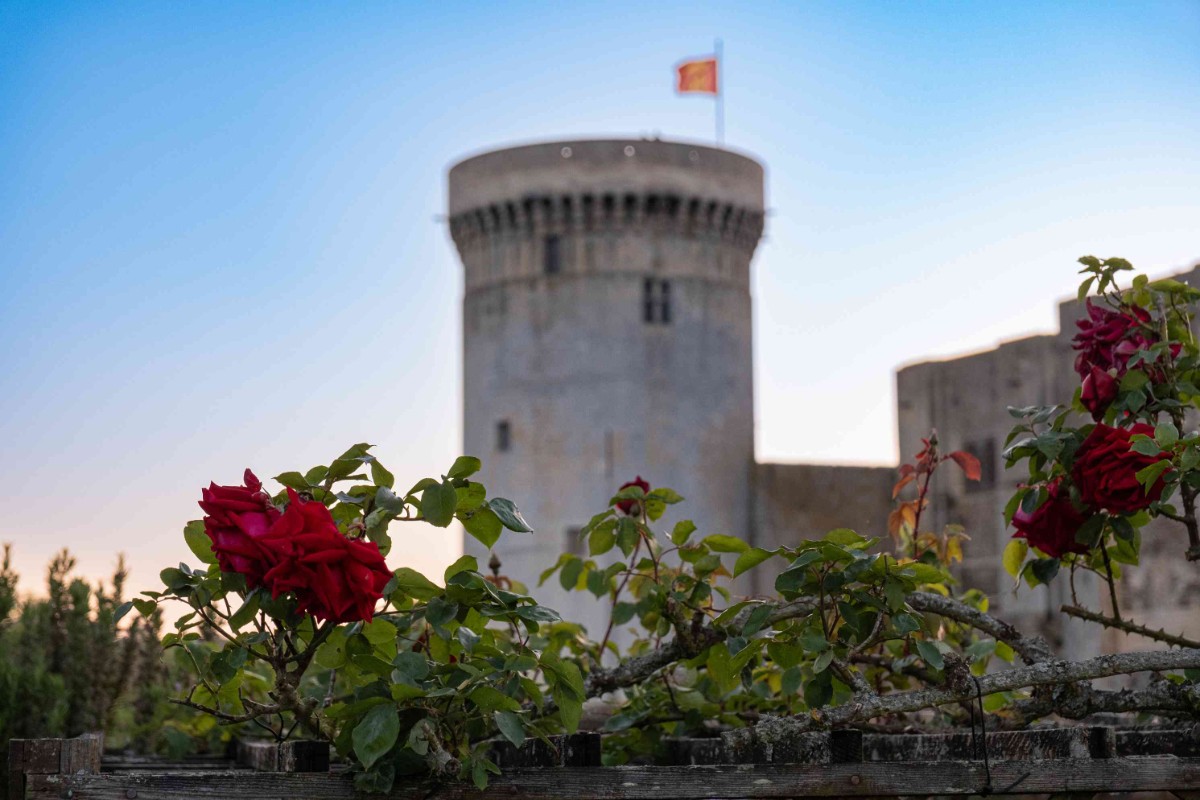 Rendez-vous aux jardins au château Guillaume-le-Conquérant Place Guillaume le Conquérant Falaise