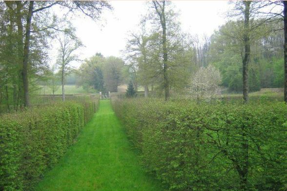 Rendez-Vous aux Jardins Déambulation dans le parc du château de la Sayette Lieu-dit La Sayette Vasles