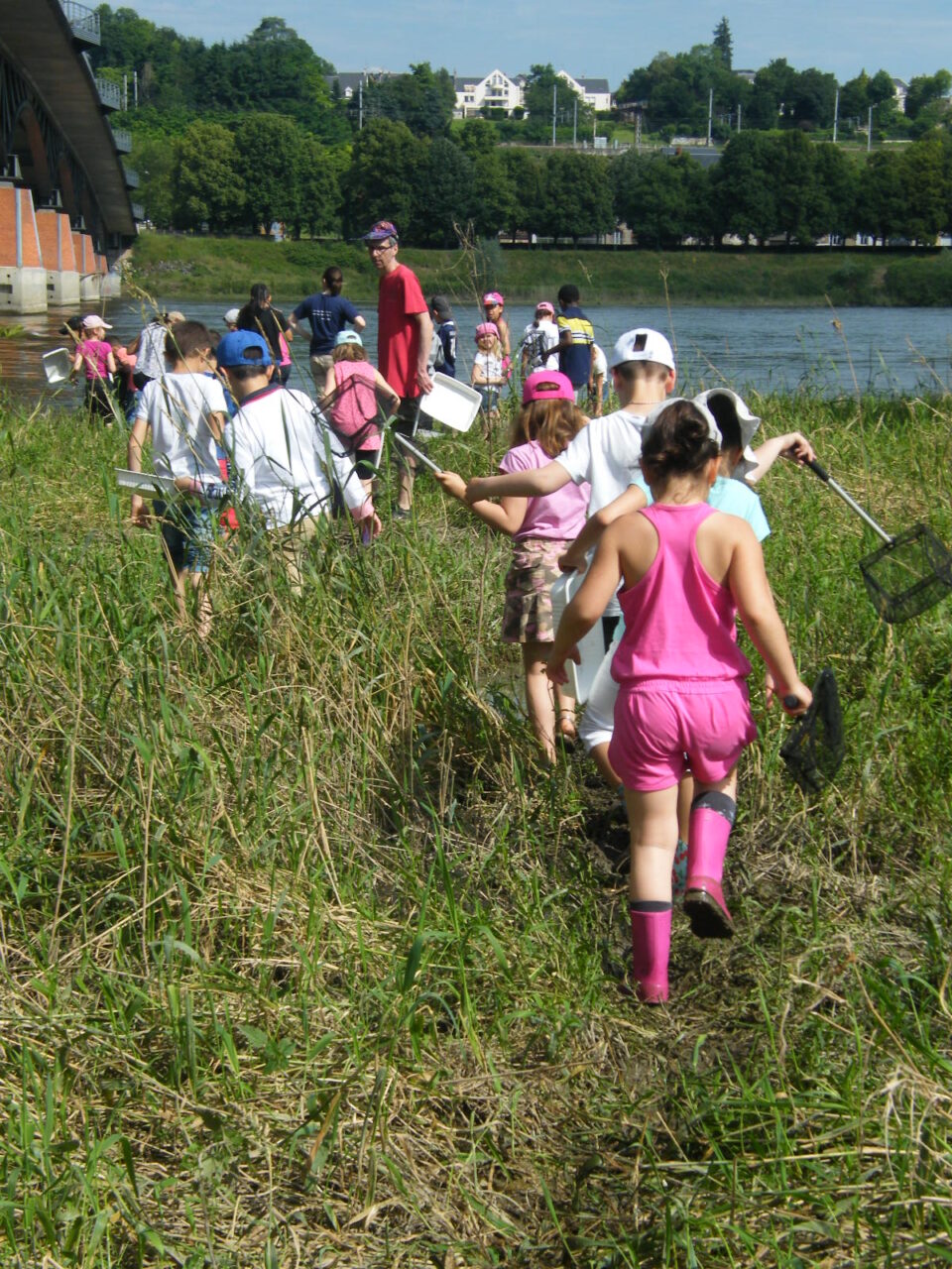 Rendez-vous avec l&rsquo;Observatoire Loire Stage nature  La Chaussée-Saint-Victor