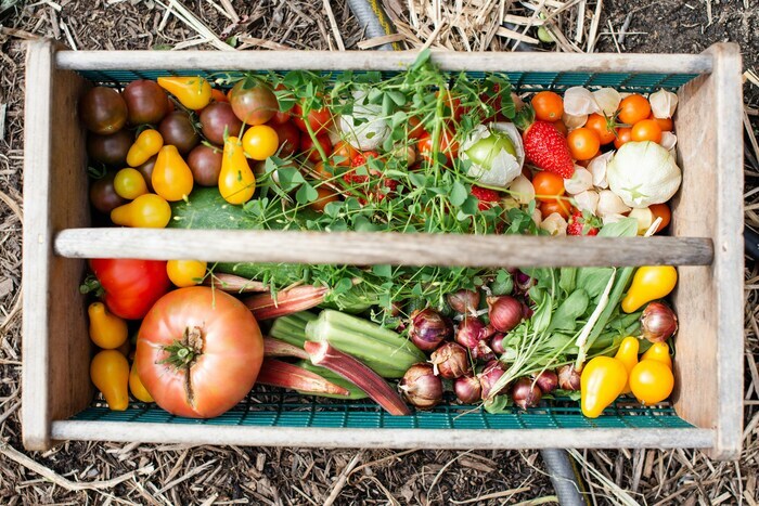 Repas-débat : vers une sécurité sociale de l’alimentation ? Maison des Chômeurs Fasolmi Toulouse