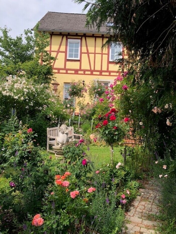 Rosen - das ist das Leben! Magie des fleurs dans le patrimoine mondial - vallée du Haut-Rhin central. 500 roses différentes sur la colline d Rosensammlung auf der Rheinhöhe Bacharach