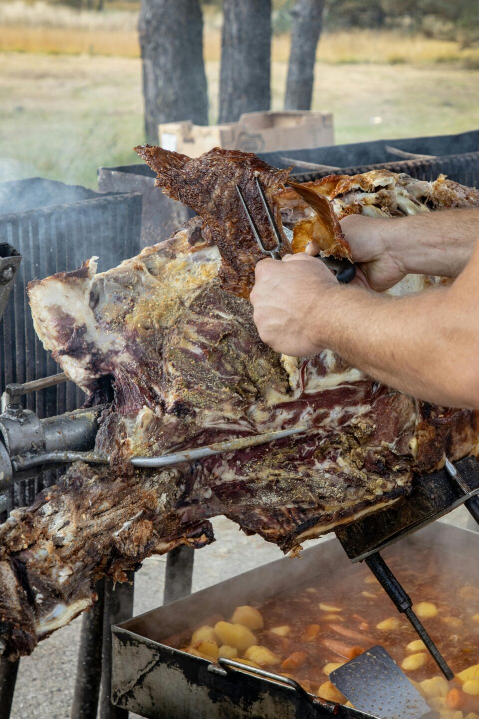 Sanglier à la Broche Beynac-et-Cazenac
