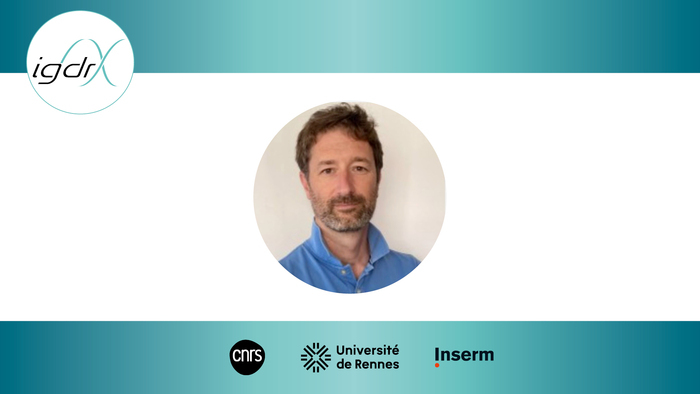 Séminaire externe – Cédric Maurange, Institut de Biologie du Développement de Marseille, Salle Archipel des Glénan – Bâtiment 4 – IGDR, Rennes