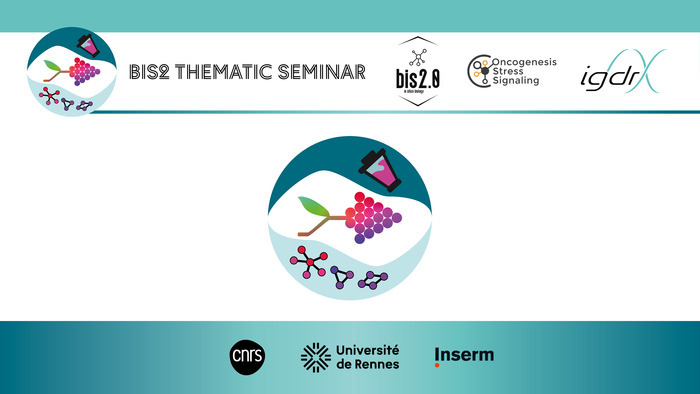 Séminaire thématique BIS2 – Atlas single-cell et méthodes de déconvolution : leçons apprises et défis, Amphitheâtre – Centre de Lutte Contre le Cancer Eugène Marquis, Rennes