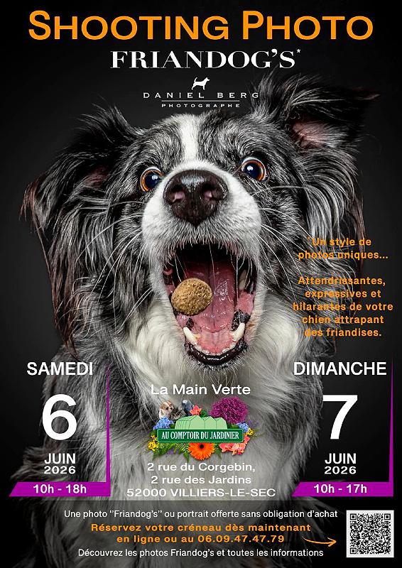 Shooting photo de chien Villiers-le-Sec