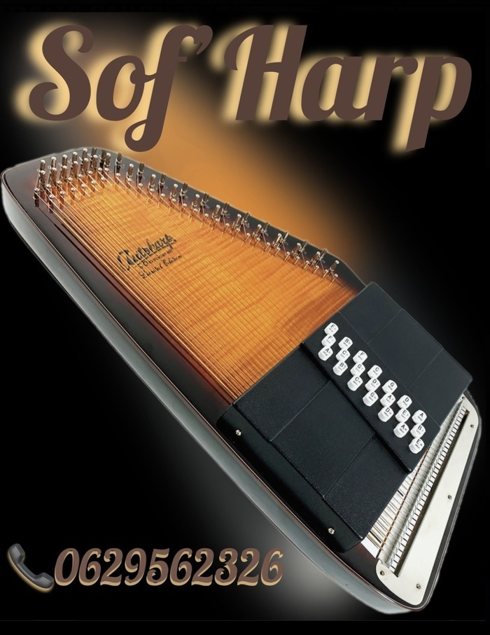 Sof'Harp Rue de l'aimable Nanette - La Rochelle La Rochelle