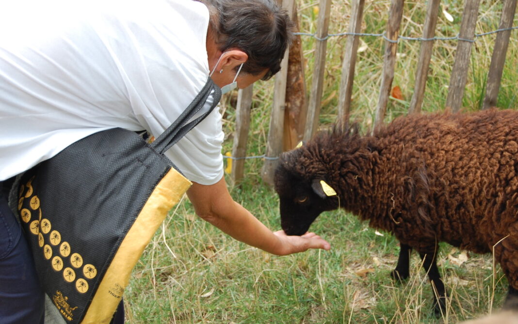 Soigneur d&rsquo;un jour à la ferme pédagogique René Binet (18e) Jardin René Binet PARIS