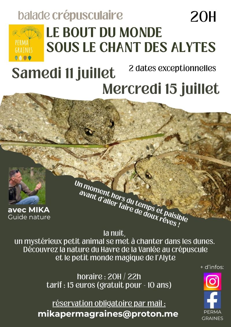 Soirée découverte de la nature du Havre de la Vanlée sous le chant des Alytes Route du Havre de la Vanlee Bricqueville-sur-Mer