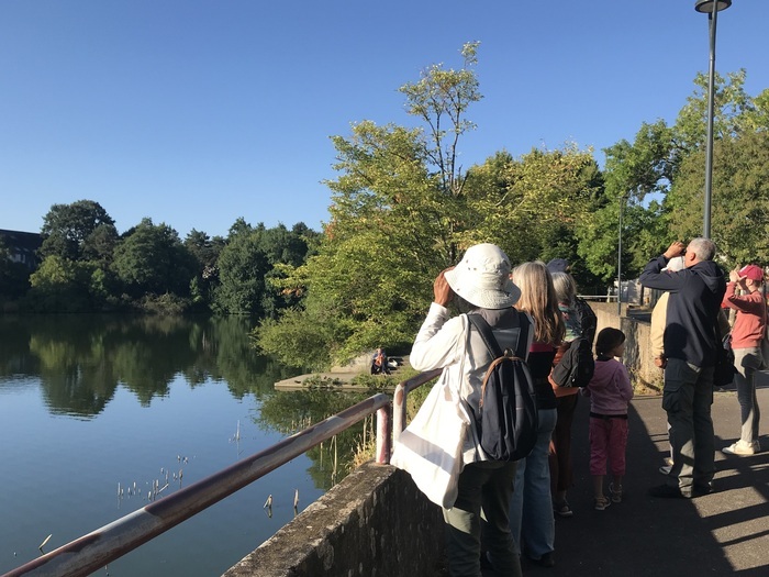 Sortie aux Longs Champs avec la Ligue de Protection des Oiseaux EPI des Longs Champs Rennes