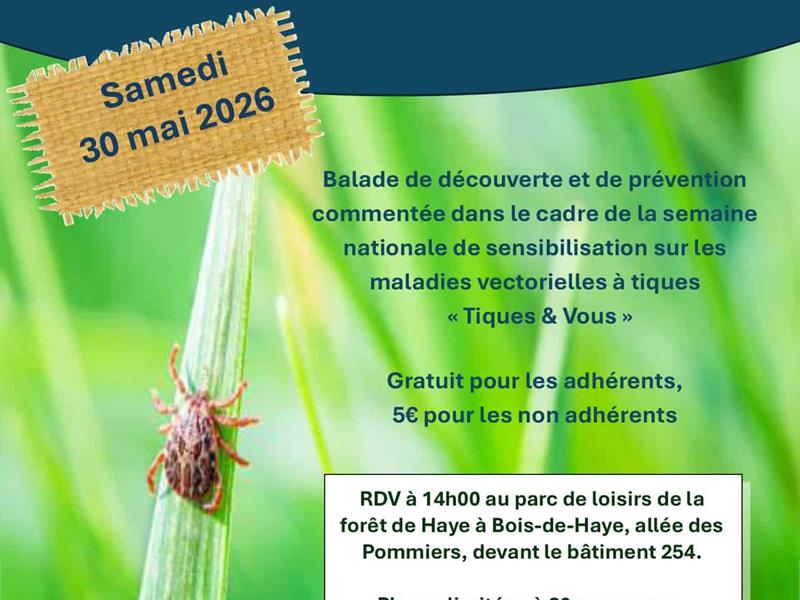 Sortie en forêt pour la prévention des piqüres de tiques Forêt de Haye Allée des pommiers Bois-de-Haye 2026-05-30