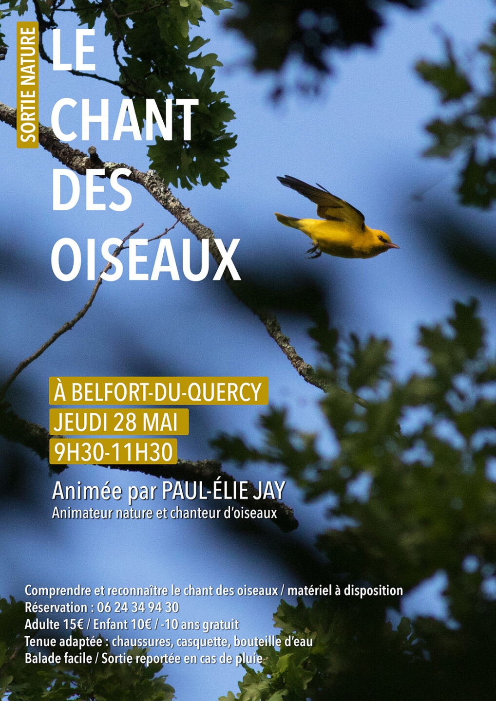 Sortie nature Le chant des oiseaux à Belfort-du-Quercy Belfort-du-Quercy
