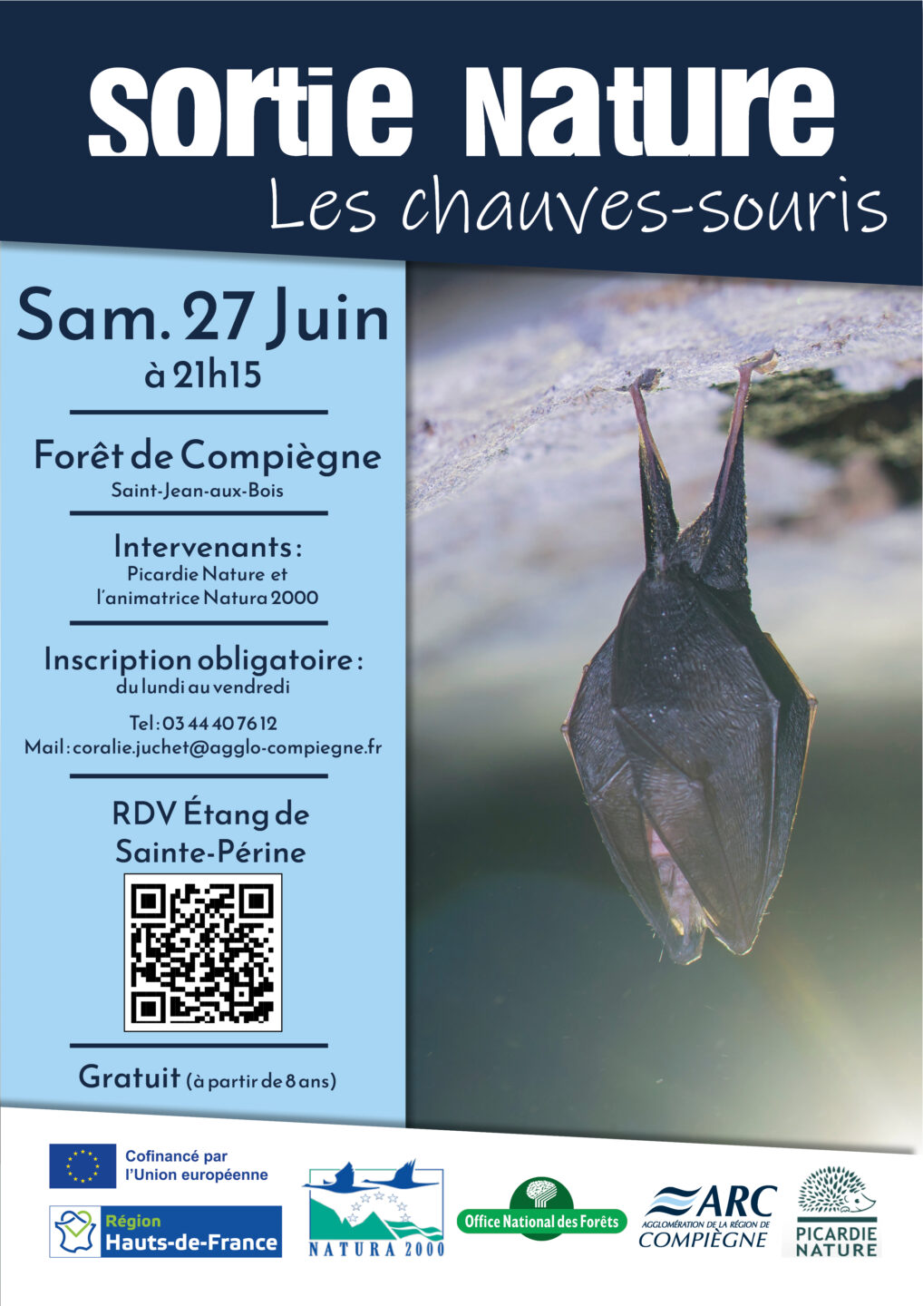 Sortie nature | Les chauves-souris  Saint-Jean-aux-Bois