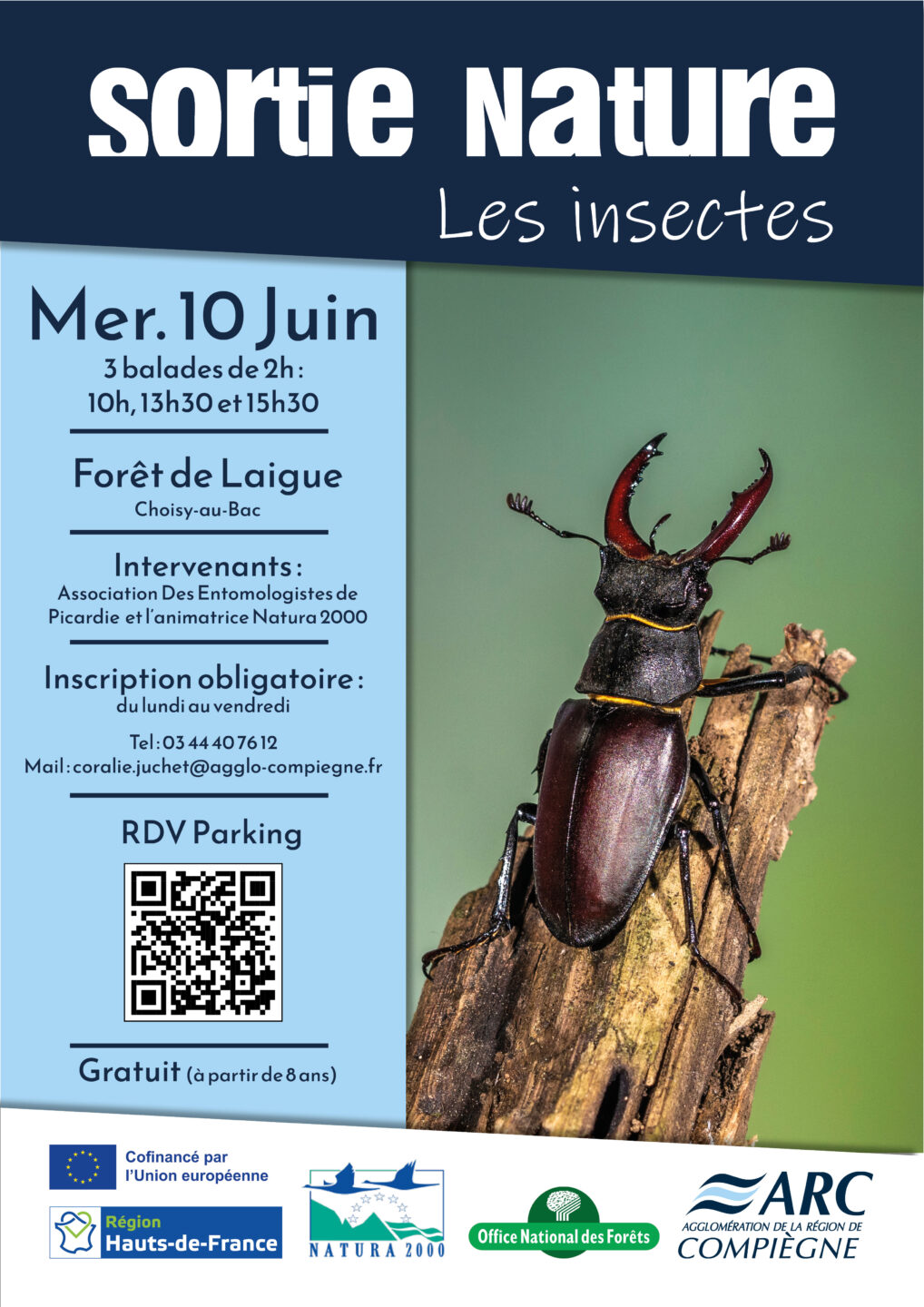 Sortie nature | Les insectes Choisy-au-Bac
