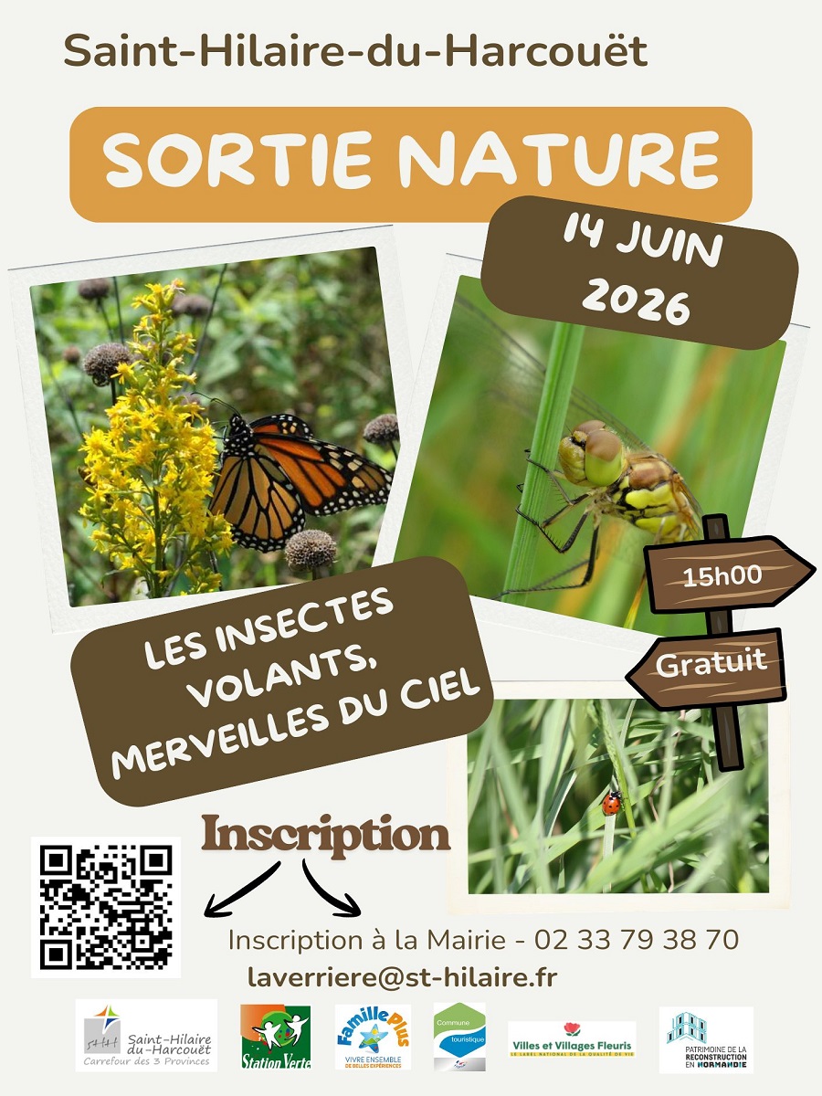 Sortie nature Les insectes volants, merveilles du ciel Saint-Hilaire-du-Harcouët