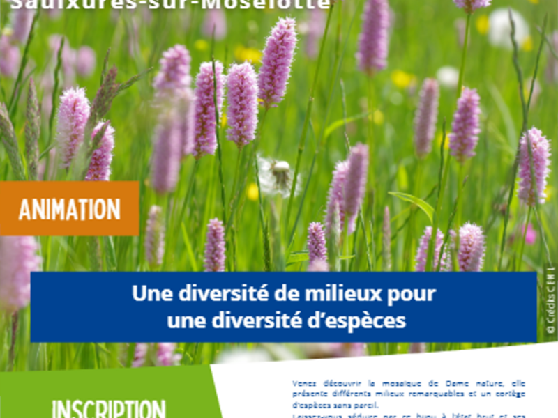 Sortie nature Une diversité de milieux pour une diversité d'espèces Parking de Salingueux Saulxures-sur-Moselotte 2026-06-27