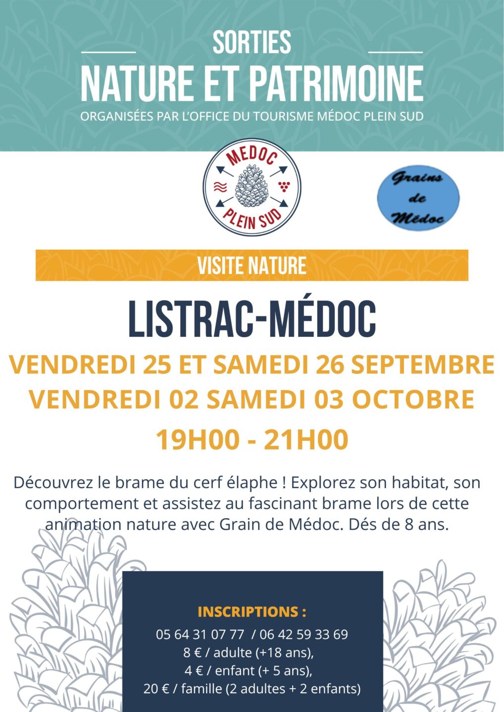 Sortie nature. À l’écoute du brame du cerf !  Listrac-Médoc