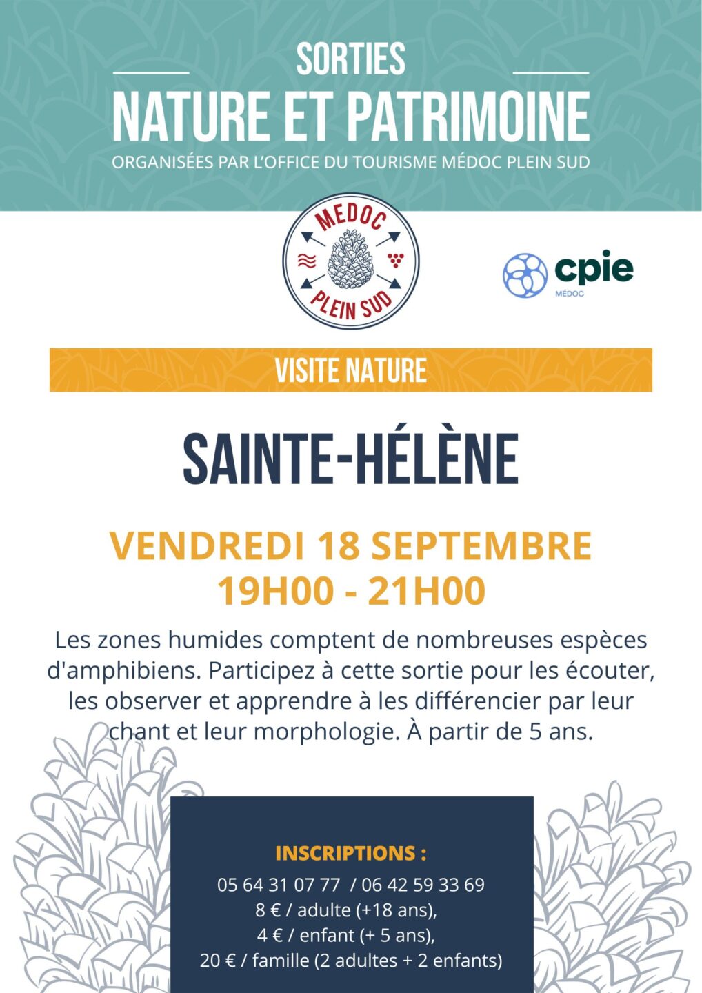 Sortie nature. Visite nature Un dragon ! Dans mon jardin ? Parking de la Mairie Sainte-Hélène 2026-09-18