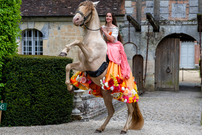 Spectacle : animation équestre "la dame au cheval d'or" Château et Jardins de Boutemont Ouilly-le-Vicomte