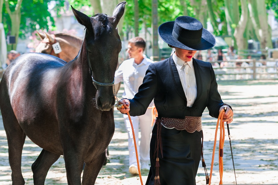 Spectacle équestre (Jardins de la Guierle) Brive-la-Gaillarde