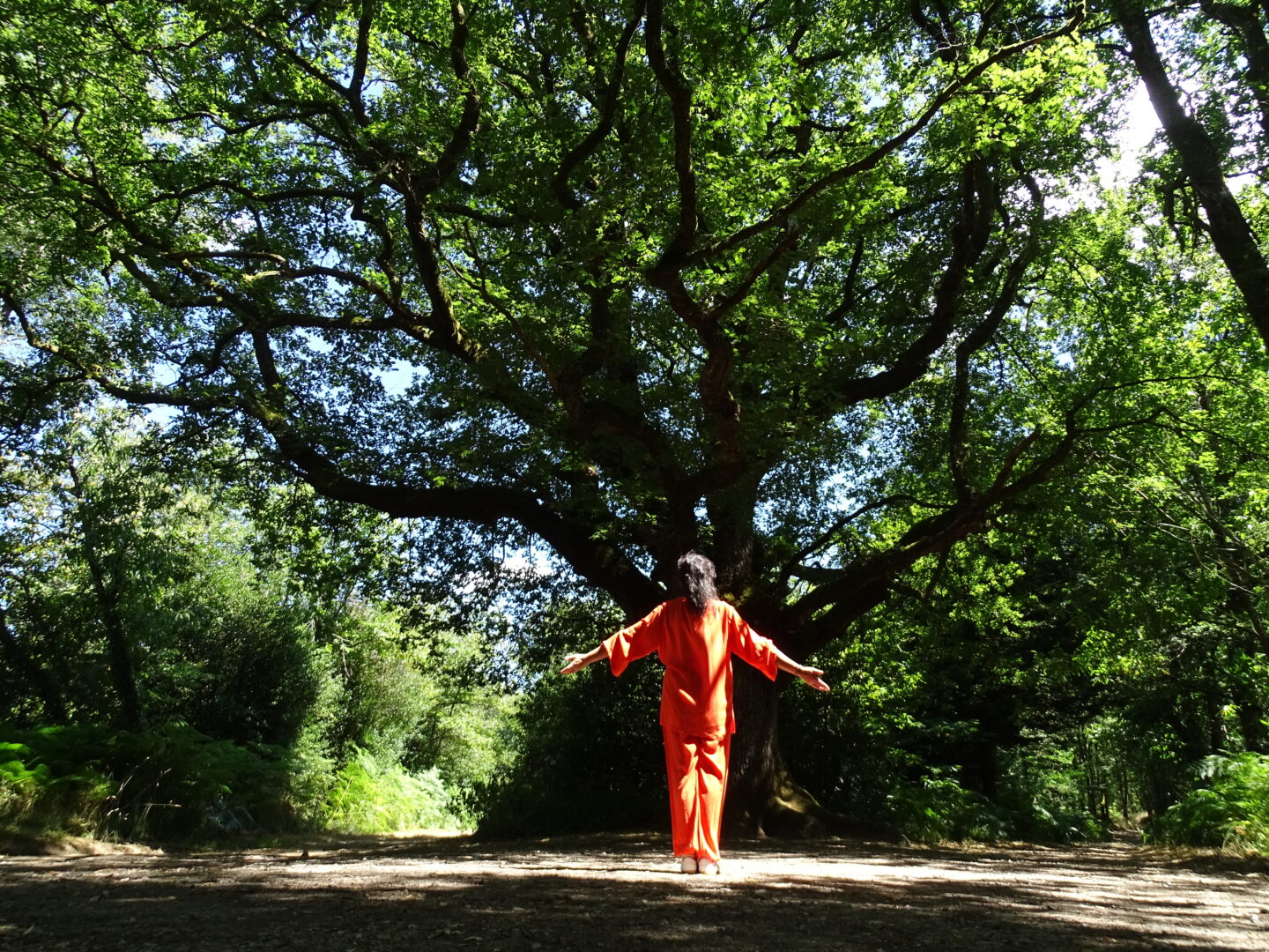 Stage de QI GONG 6 Rue Renan Saint-Junien 2026-08-16
