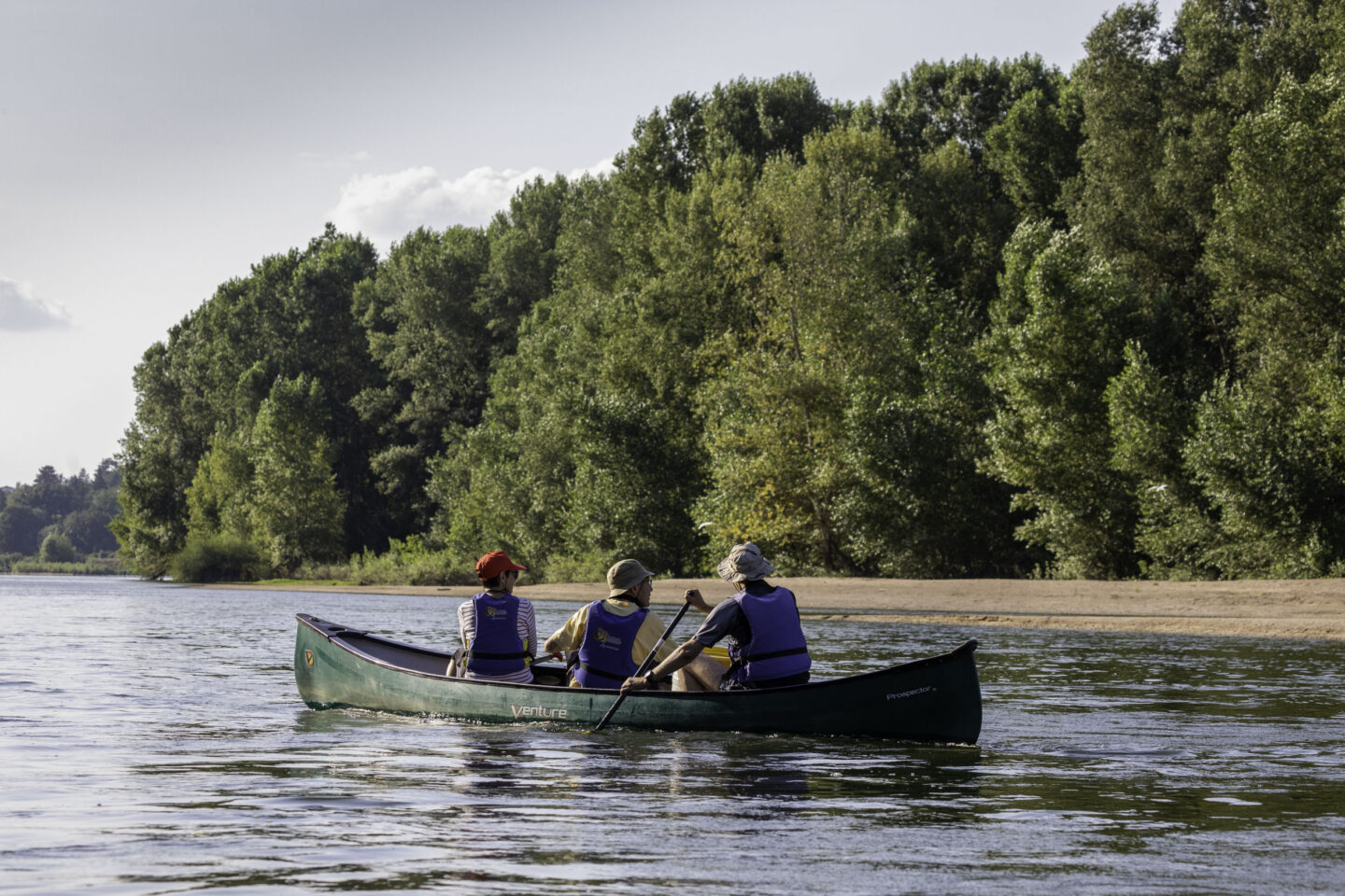 Sur les traces du castor et des oiseaux de la Loire en canoë Châteauneuf-sur-Loire