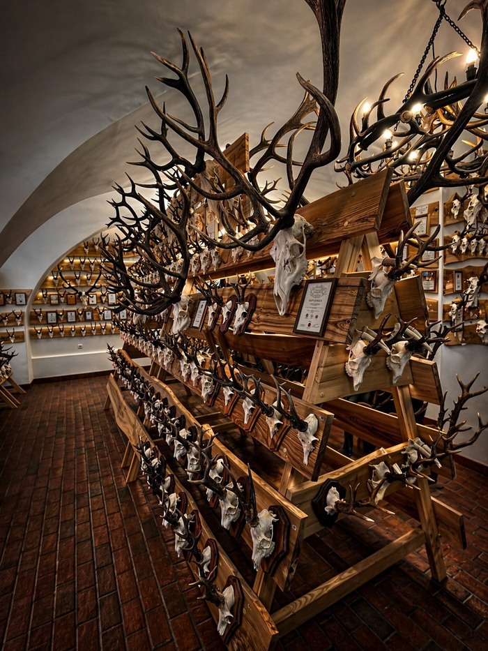 Sur les traces d'un ancien chasseur Rokiškio krašto muziejus Rokiškis
