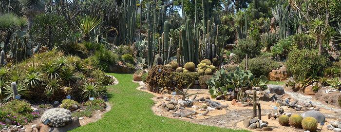 SVISTA - Visites guidées au jardin botanique de Naples - dimanche à 10h00 et 11h00 Orto Botanico di Napoli Napoli
