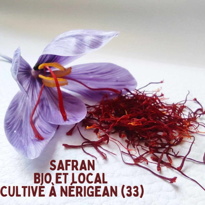 Terr'a Safran - Journée porte ouverte Terr'a Safran Nérigean