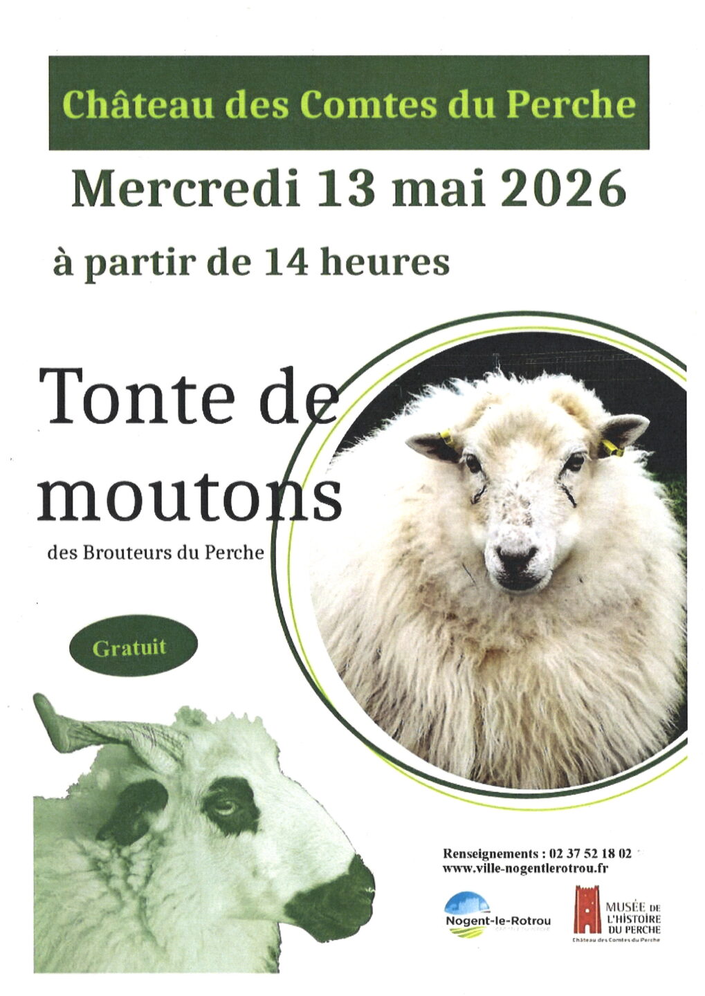 Tonte de moutons  Nogent-le-Rotrou