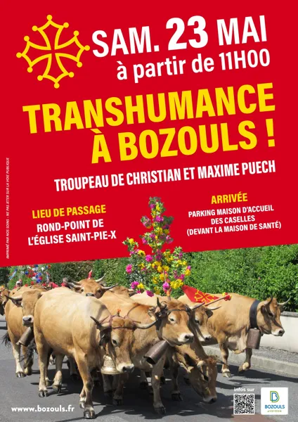 Transhumance 2026 Passage d&rsquo;un troupeau à Bozouls  Bozouls