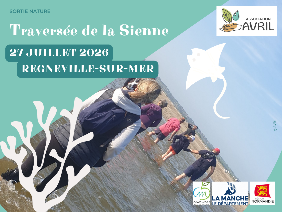 Traversée de la Sienne  Regnéville-sur-Mer 2026-07-27